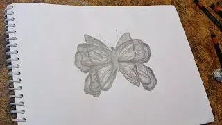 3D Butterfly Pencil Art Tutorial For Beginners/.Step by Step Tutorial.#butterflyart 