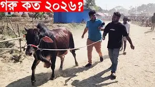 ভাই গরুর দাম কত ২০২৬? বাইশমৌজা হাট থেকে বিক্রিত গরু মহিষের দাম জানুন Gorur dam koto 2026