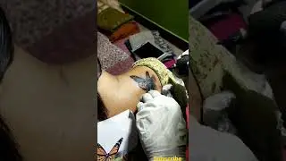 butterfly on back shoulder women fast choice.book now #shorts #tattoo #short #shortsvideo #ink