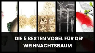 V&ouml;gel f&uuml;r den Weihnachtsbaum: Die 5 besten V&ouml;gel f&uuml;r den Weihnachtsbaum