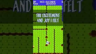 Обзор Dig Dug II для NES