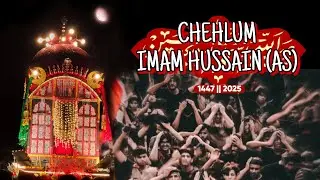 NAHAN CHEHLUM TAZIYA 2025 || AZADARI NAHAN 