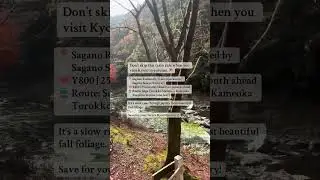 You Gotta Ride Kyoto's Romantic Train in Autumn 😍🍂