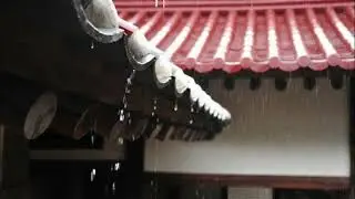 처마 ASMR, 한국의 빗소리 (Rain in Korea), 뚝뚝 빗방울