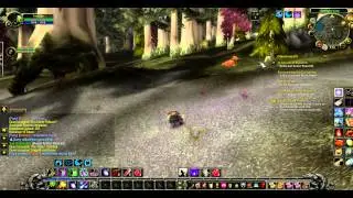 Darkshore Quests - Soggoth and Kronn