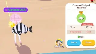 Play Together Fish: Striped beakfish (crowned)