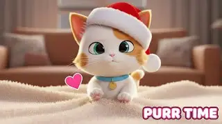 This Adorable Kitten Will Melt Your Heart! 💘🐾🐱