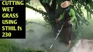 Cutting the wet grass using STHIL fs 230/brush cutting