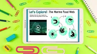 Virtual Field Trip to the Great Pacific Garbage Patch!