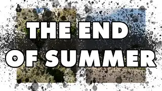 A Summer Photo Video