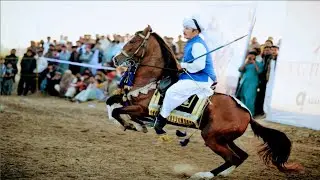 Qamar Zaman Khan In  Aghaaz Tent Pegging Championship 2022 | Horse Maharaja | Horse Riding Big Event