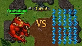 Orshabaal vs 100 Water Elemental | Tibia Versus