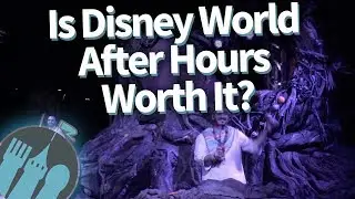Are Disney World After Hours Events Worth The MONEY?!?
