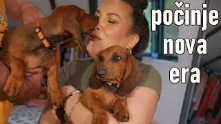 ❤️ Kenti i Čoko❤️‍🩹 drogerijski haul🐾 healing🌼