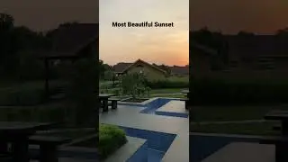 Most Beautiful Resort In Tadoba National Park | Best Resort In Tadoba | Tadoba Vanya Villas