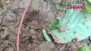 Security Forces Recovered Explosives In Naxal Prone Area In Jamshedpur