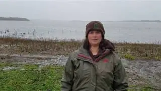 Sauvie Island Wildlife Area Hunt Update November 28, 2017