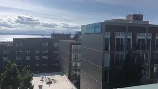 Harrison Square - Uptown Seattle - 1 Bedroom B #803 599 sq ft