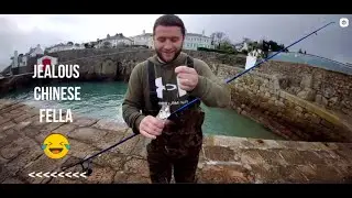 NEW SPECIES ! TICKED OFF THE LIST : DALKEY, DUBLIN