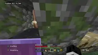 Lazy Villager