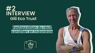 Gili Eco Trust | Restauration du r&eacute;cif corallien