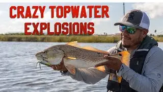 Crazy Topwater Redfish Blowups!!!