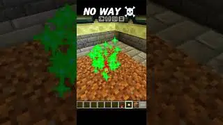 NO WAY 💀 End Portal Can Be Destroyed by Mushroom?! 🍄