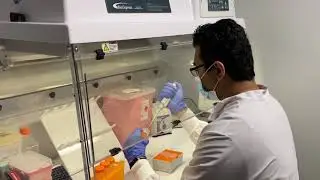 SDI Labs - Garden Grove California