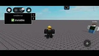 Roblox script Invisible