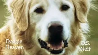 Doggie Heaven--D.S. Neff (Lyric Video)