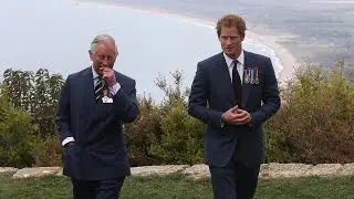 &lsquo;He&rsquo;s seen the light&rsquo;: Prince Harry attempts to patch up the &lsquo;bad blood&rsquo; with his father