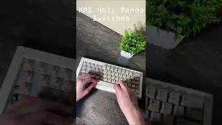 MMD Holy Panda | Best budget tactile switch
