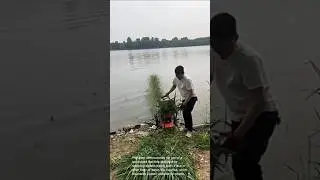 Aquatic weed control: innovative lake cleaning machine!