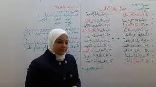 تفيئي ظل الخلود