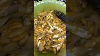 Ikan wader krispy #resep #masakanrumahan #fypage #resepmasakan #ikan #ikanwader #ikangoreng #viral