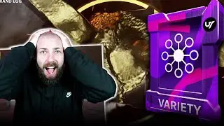 GOLDEN TICKETS! GOING BACK IN TIME FOR TRAINING VARIETY PACKS!