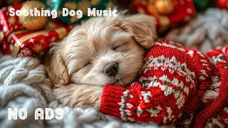 12 часов успокаивающей музыки для собак 🐶🎅 Мелодии для тревожных собак ⛄ Успокаивающие звуки 💖
