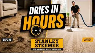 Professional Carpet Cleaning in Sarasota, FL | Deep Clean That Dries Fast