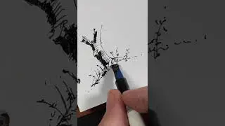 Parallel pens for ink drawing. How I prepare them for drawing. Long lesson on patreon, link in bio