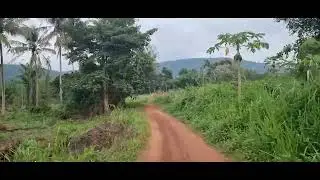 20 ACRES OF FARM LAND FOR SALE IN THE E/R.(AKWAPEM LANDS)