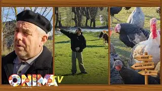 n'Bradash | Katun me mikpritje, pastërti, zemrat plot por pak rini | SHPATEVE