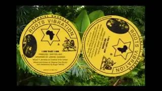 Jamaiel Shabaka - I Am That I Am 12