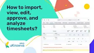 How to Import, Edit, View, Approve & Analyze Timesheets Like a Pro