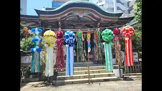 Japan Reise: Video-Footage und Foto