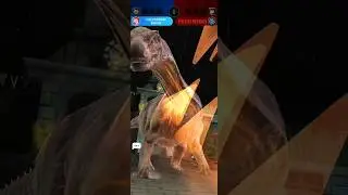 AMPELOREX Vs MEGALOCEVIA - JURASSIC WORLD ALIVE #shortvideo
