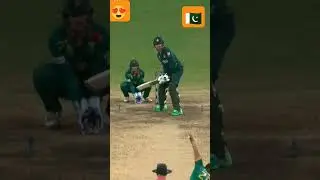 Muhammad Waseem | Six | CWC23 #cricket #cricketnews #cricketlover #cricketshorts #viral #viralvideo