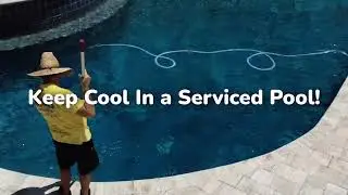 This Summer Relax and Leave the Pool Cleaning to Us!