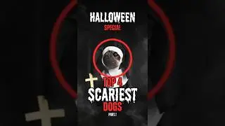 Top 4 Scariest Dogs You Don&rsquo;t Want to Meet This Halloween 😱🐾 #dog #halloween2025 #shorts