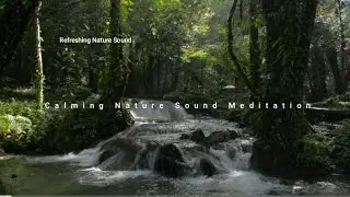 Calming Water sound therapy Meditation |Refreshing|Relaxing|Nature Sound|Stress Relieving ||Bewithme