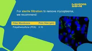 MilliporeSigma: Membrane Selection Tips